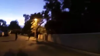 Dude Went Straight for the Kill in Daily Fight Vids