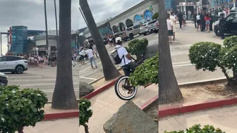Big Brawl At Belmont Park