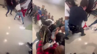 Daily crazy fights at school ???? ????
