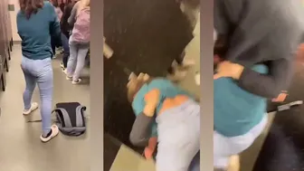 Daily crazy fights overwhelm us! ???? ????