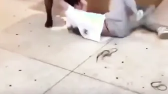 Girl absolutely destroys guy.