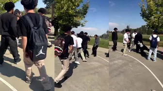 Daily Crazy Fights! ????????