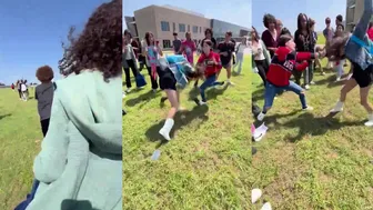 Girls Daily Fights