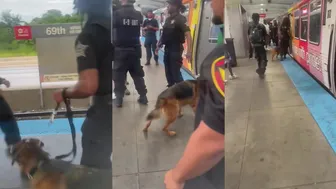 Citizens Clash With Privatized K9 Unit At Chicago L Station