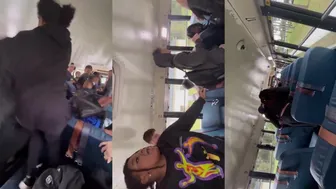 Daily crazy fights dominate the day!