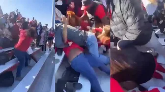 Daily crazy fights overpower your day!