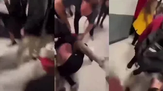 Daily crazy fights overpower your day!