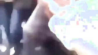 Street Fights With Gore ????????ombieslaughter!