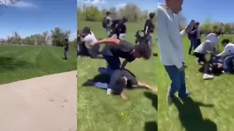 Daily crazy fights overpower everything!