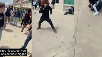 Non-stop Fight Action & Wild Viral Videos!