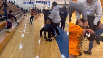 Daily crazy fights from school!