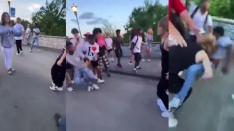 Daily Fight Comparison