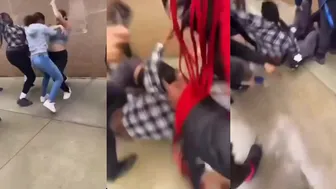 Girl fights Viral Videos