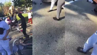 Send In Girl Fights!