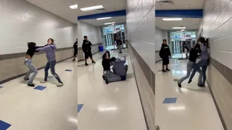 Daily freakouts And More ????