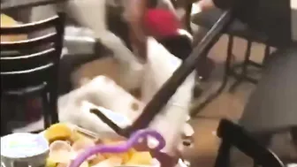 Full-on Bar Room Brawl ???? ????