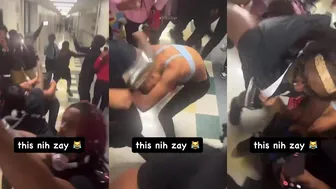 Daily freakouts and More Wwild Baddies!