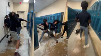 Daily crazy fights!