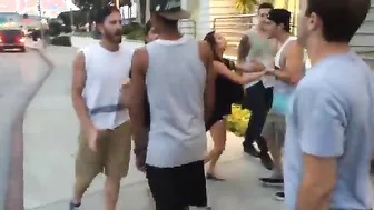 Good job Boys! Daily Fights Video