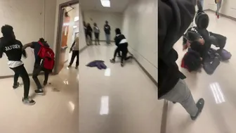 Daily crazy fights rule!