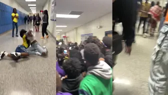 Daily crazy fights at school ????