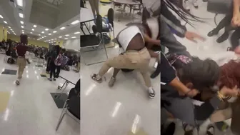 Daily crazy fights dominate the day!