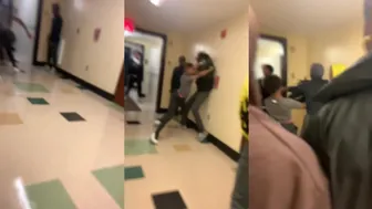 Daily Crazy Fights Rule The Day!