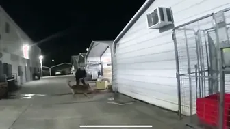 Cop Goes All Serena Williams On Him ????