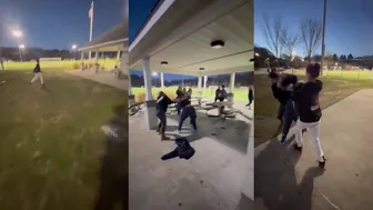 Daily freakouts and More!