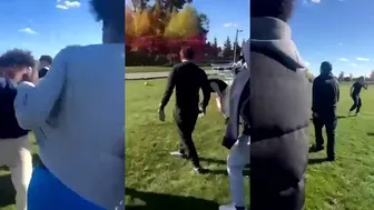 Daily crazy fights dominate the day!