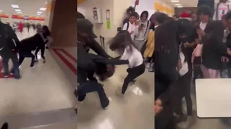 Daily crazy fights between girls