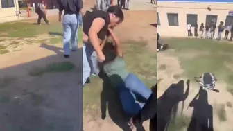 Daily crazy fights dominate!