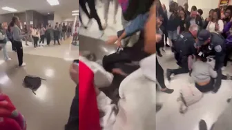 Daily crazy fights! ????????
