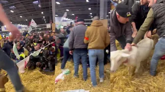 Chaos At Paris Annual Agricultural Convention