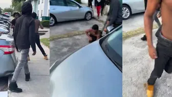 Daily Fights And Entertainment Fire Fist