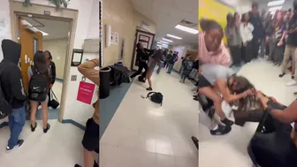 Theyre Going Crazy For This Fight