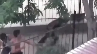 Friend Jumps In To Stop The Assault
