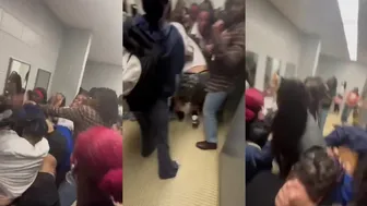 Daily crazy fights dominate!