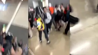Daily Crazy Fights Rule The Day!