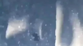 Lil Bro Did His Shit ????????/Internal