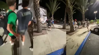 Daily crazy fights!