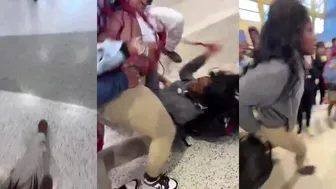 Daily crazy fights overpower everything!